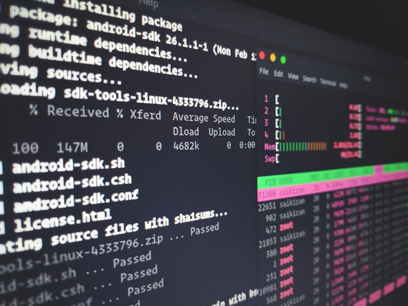 ‘HalluSquatting’ Turns AI Hallucinations Into Botnet Delivery Mechanism